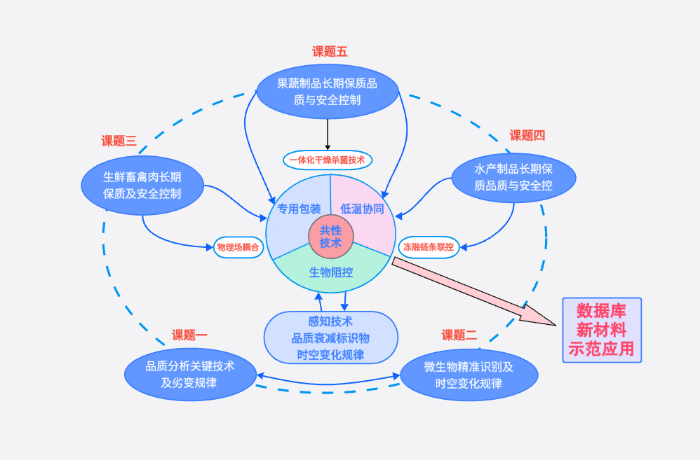 5个课题关系图