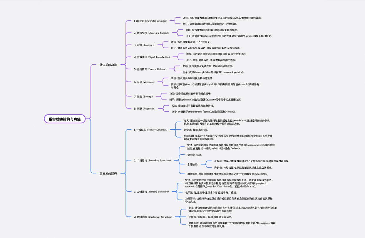 蛋白质结构与功能的关系