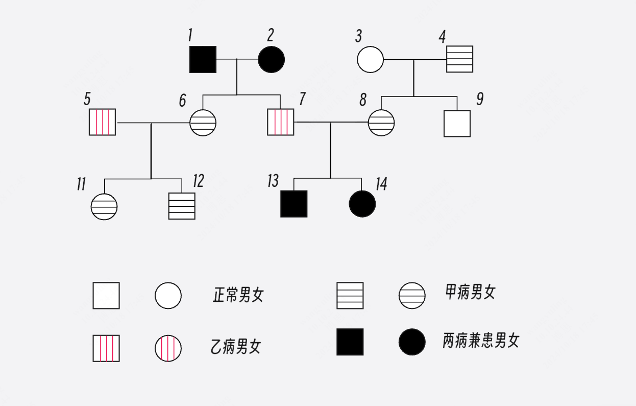 遗传系谱图范例