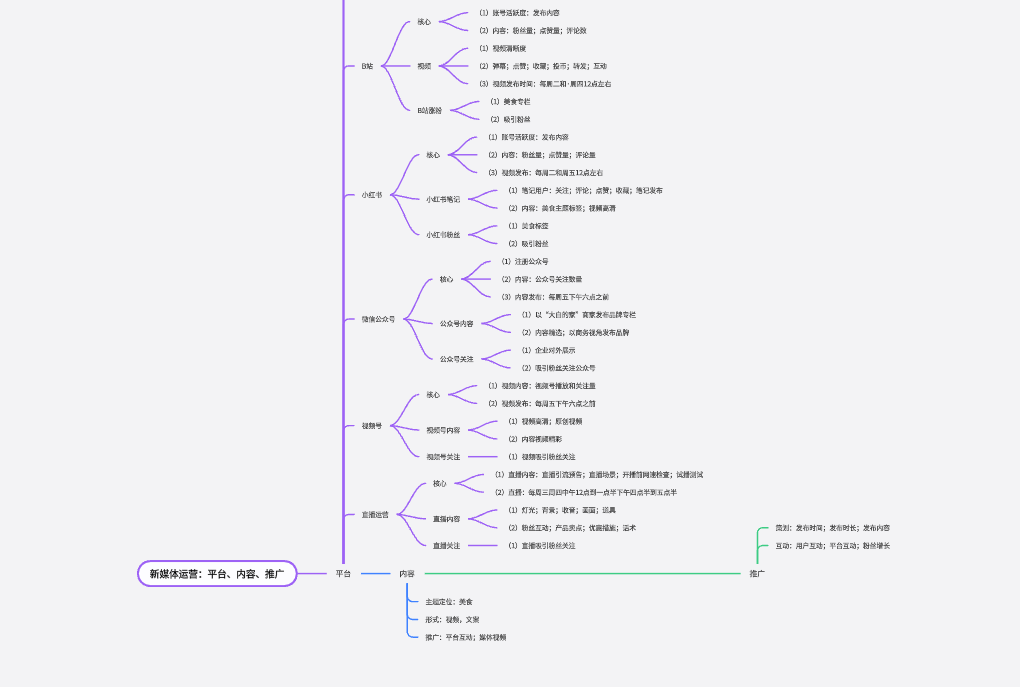 新媒体运营：平台、内容、推广