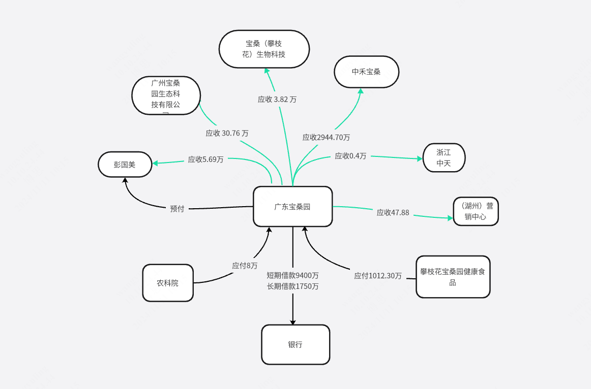 广东宝桑园关系图8.31第一版